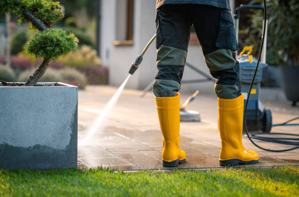 Best Residential Pressure Washing Services  in Maysville, KY